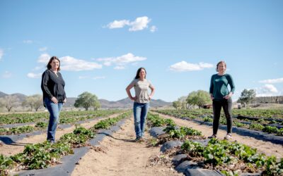 Local Farmers: Meet the Women Who Grow Our Food