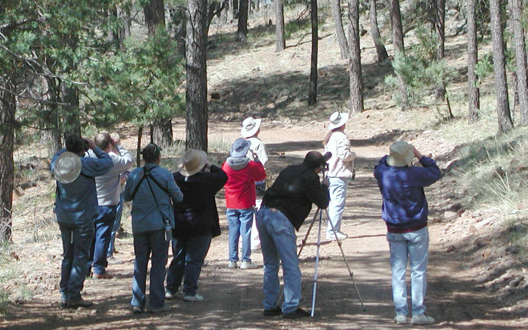 Verde Valley Birding and Nature Festival features in-person and virtual tours this year