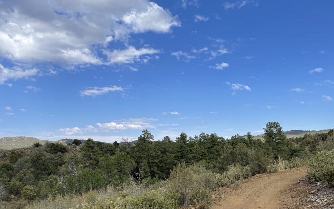 Shady Street Trailhead Park