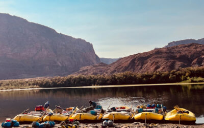 Grand Canyon: Rim to River