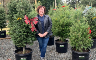 Holiday Evergreens for Maximum Privacy