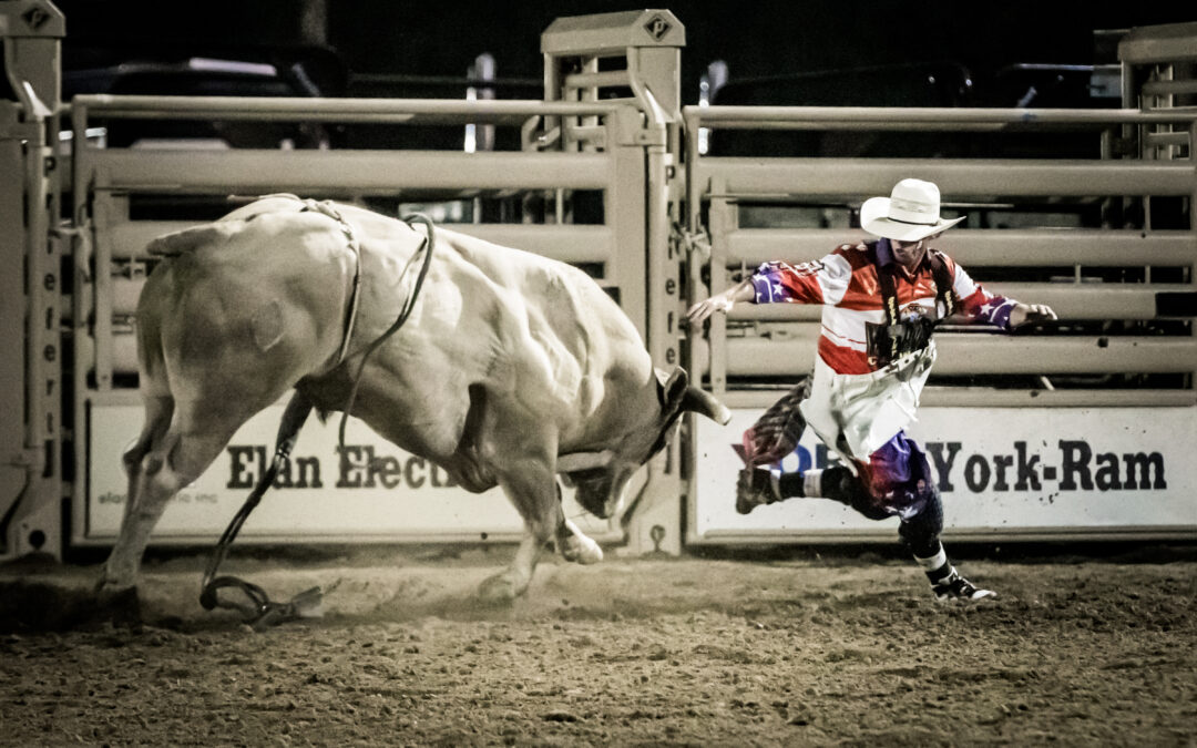 Unforgettable Rodeo Experiences