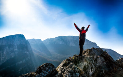 From Daydream to Destination
