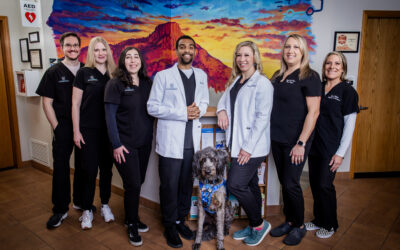 Healthcare with Heart  