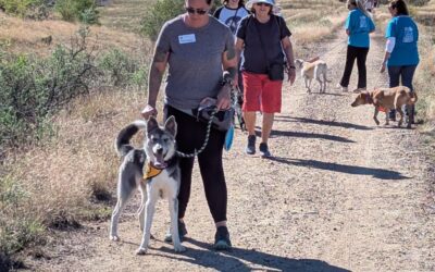 Take a Hike for a Great Cause: United Animal Friends’ Hike for Hounds Returns This Fall